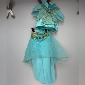 Disney Turquoise Princess Jasmine Costume